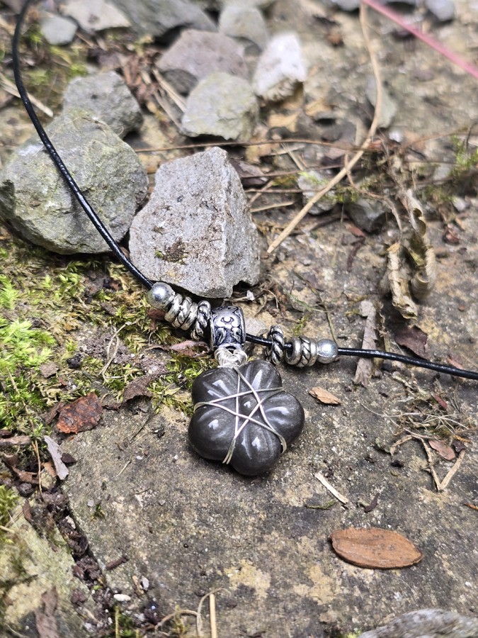 Image d'illustration de l'article Les petites fleurs magiques !