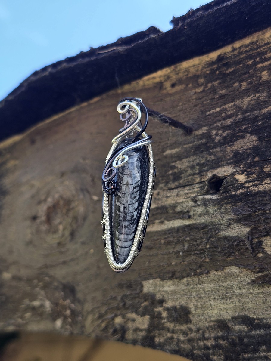 Image d'illustration du produit Pendentif orthoceras