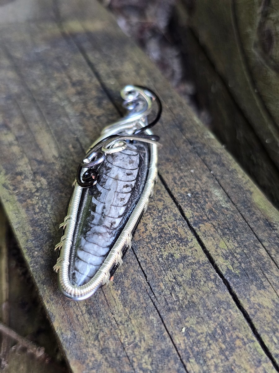 Image d'illustration du produit Pendentif orthoceras
