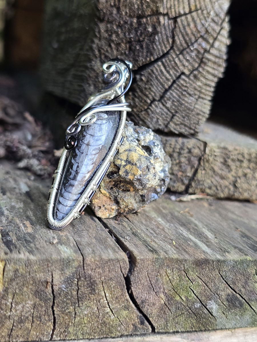 Image d'illustration du produit Pendentif orthoceras