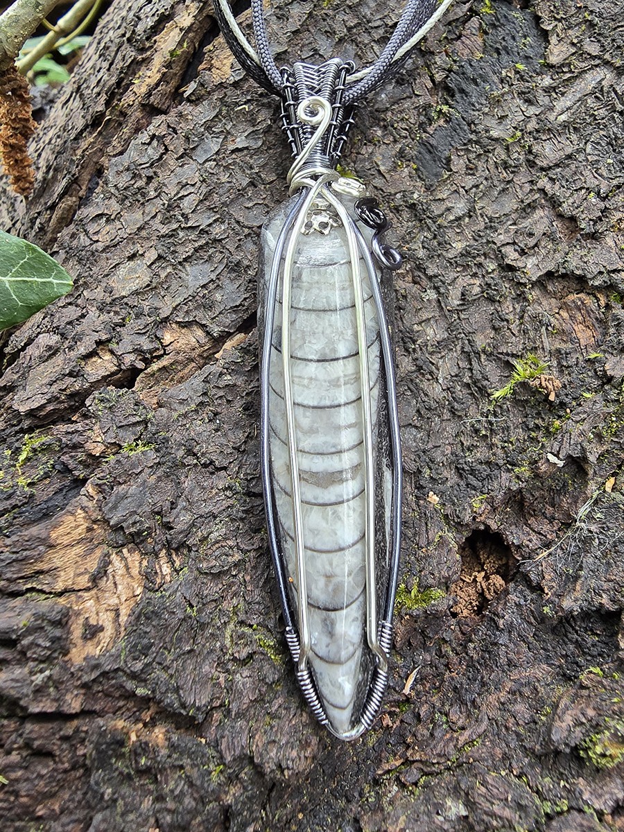 Image d'illustration du produit Pendentif orthoceras