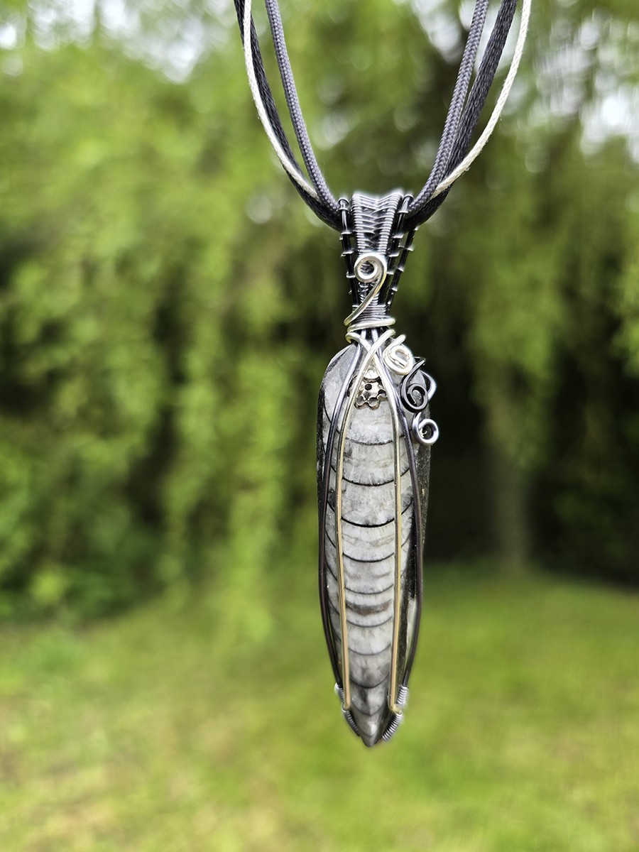 Image d'illustration du produit Pendentif orthoceras