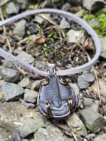 Image de couverture du produit Pendentif trilobite