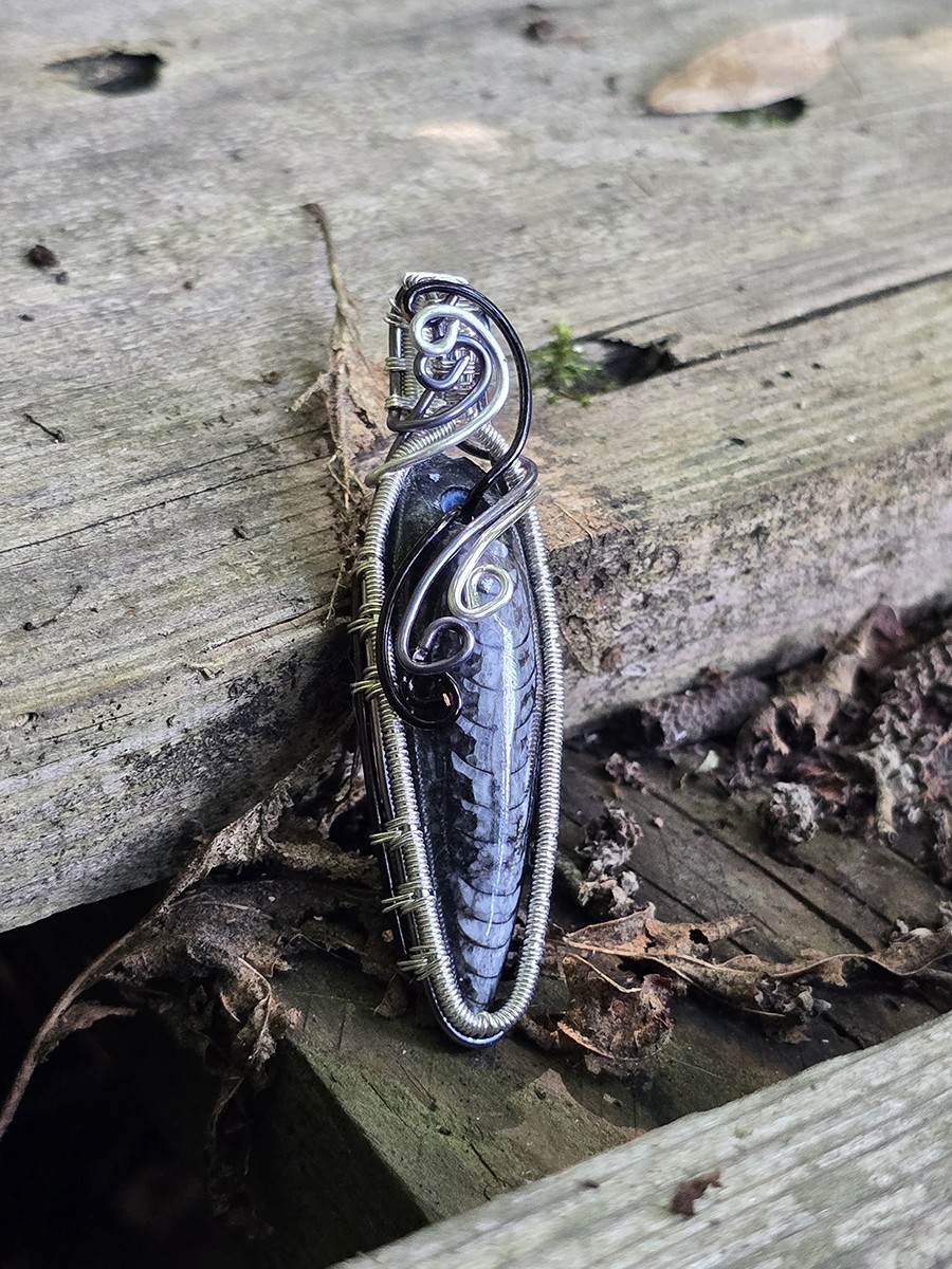 Image de couverture du produit Pendentif orthoceras