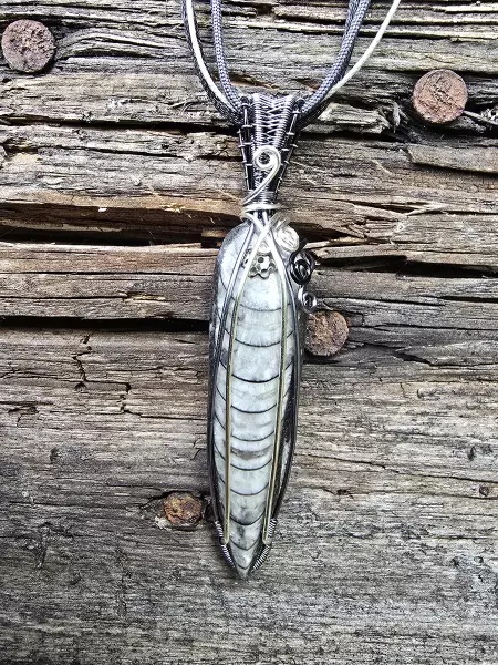 Image de couverture du produit Pendentif orthoceras