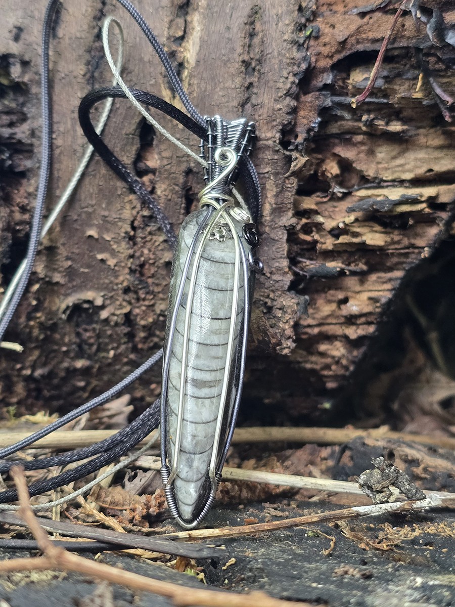 Image d'illustration du produit Pendentif orthoceras