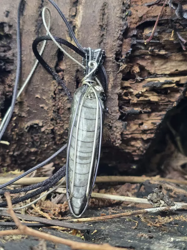 Image d'illustration du produit Pendentif orthoceras