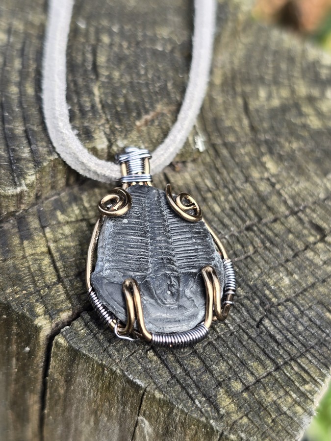 Image d'illustration du produit Pendentif trilobite