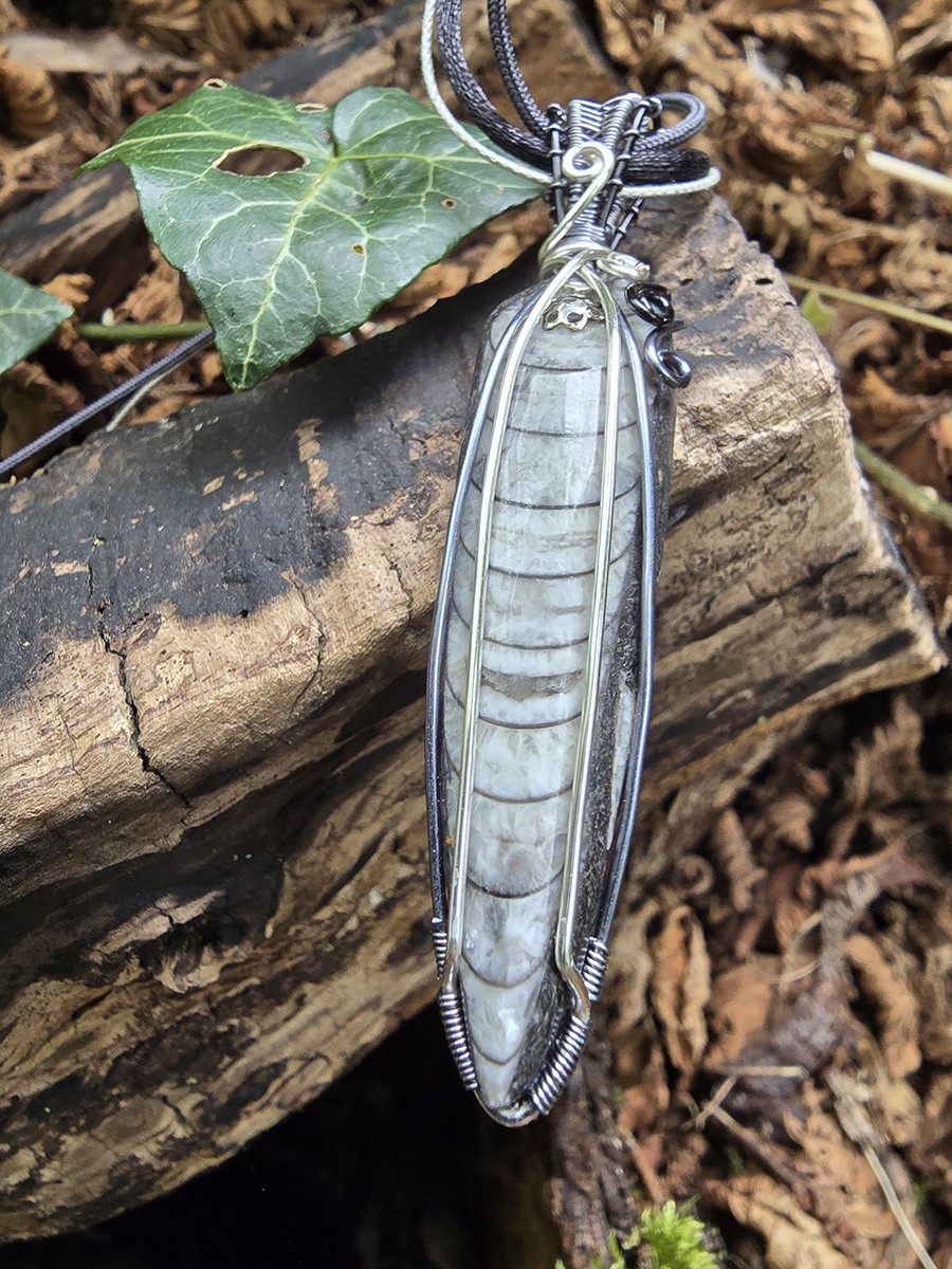 Image d'illustration du produit Pendentif orthoceras